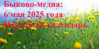 Нажмите для предварительного просмотра изображения - Быково-медиа