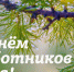 Увеличить - Быковский район
